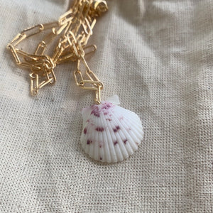 Coastal Creations shell necklace